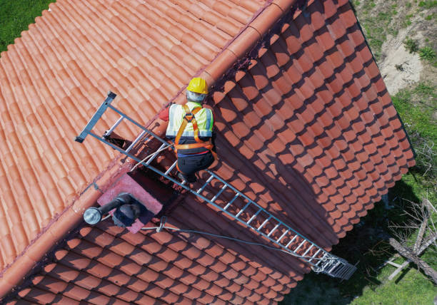 Best Roof Maintenance and Cleaning  in Cheval, FL
