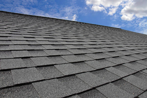 Best Roof Coating and Sealing  in Cheval, FL